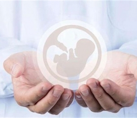 宝宝右脑开发 这4个游戏最给力